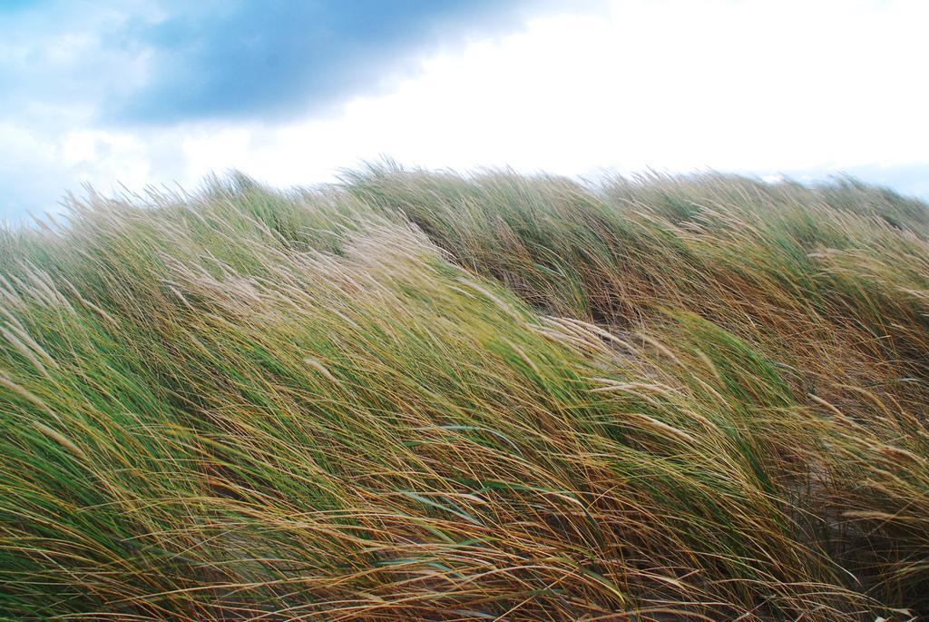 Ferienhaus Dune Bep