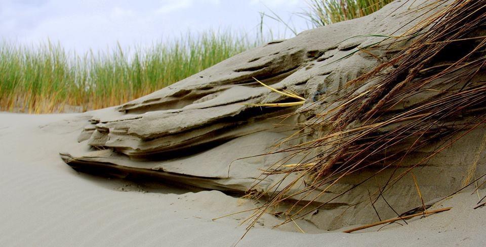 Dune Bep Ferienhaus Schiermonnikoog